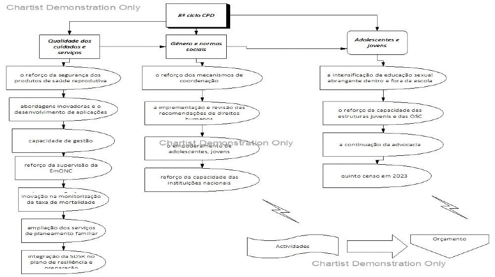 Esquema sintético do Oitavo Programa de Cooperação entre UNFPA e o País